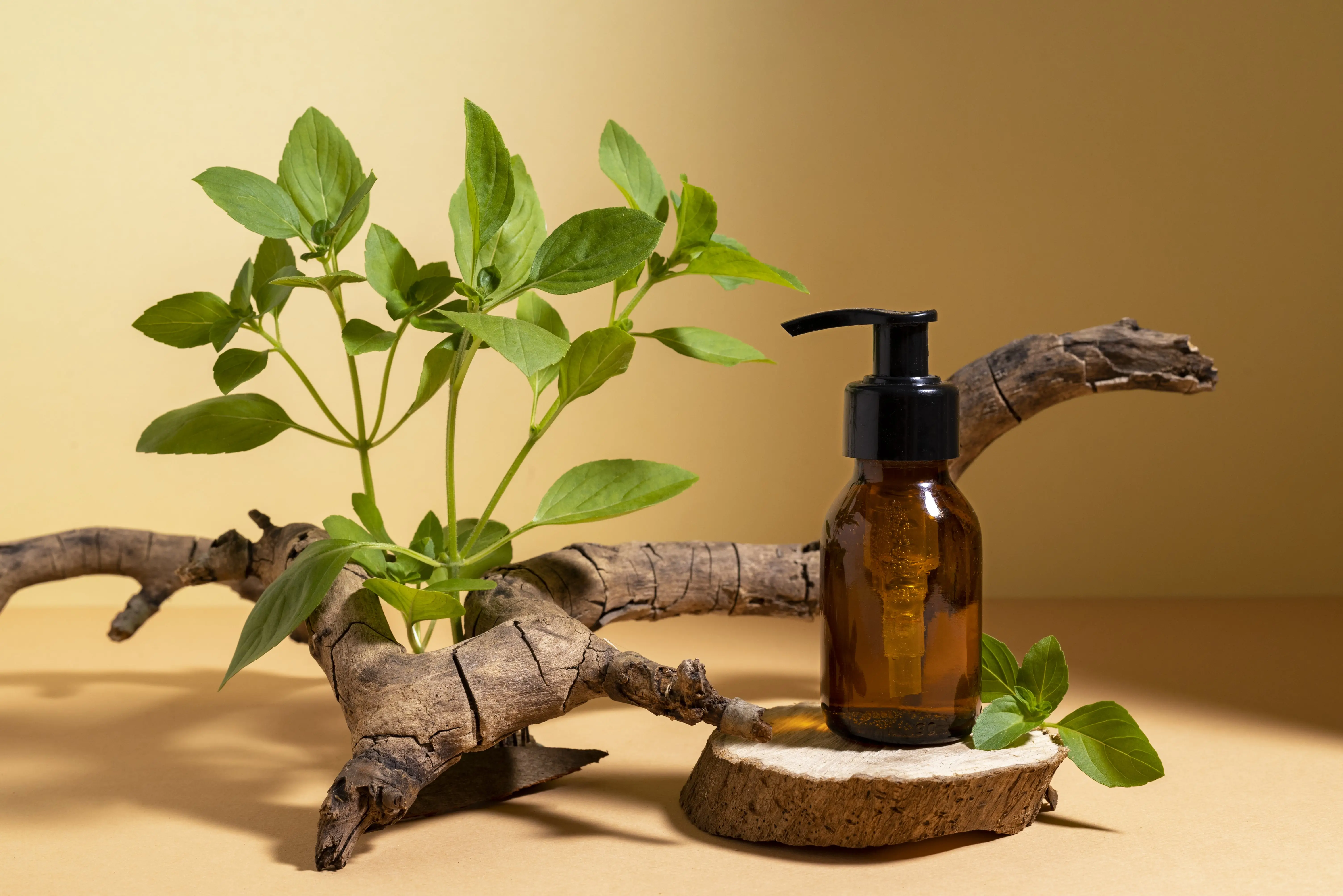 Vetiver wellness products service